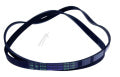 Bosch Neff Siemens Poly-Vee Drive Belt - 1252J5PJE
