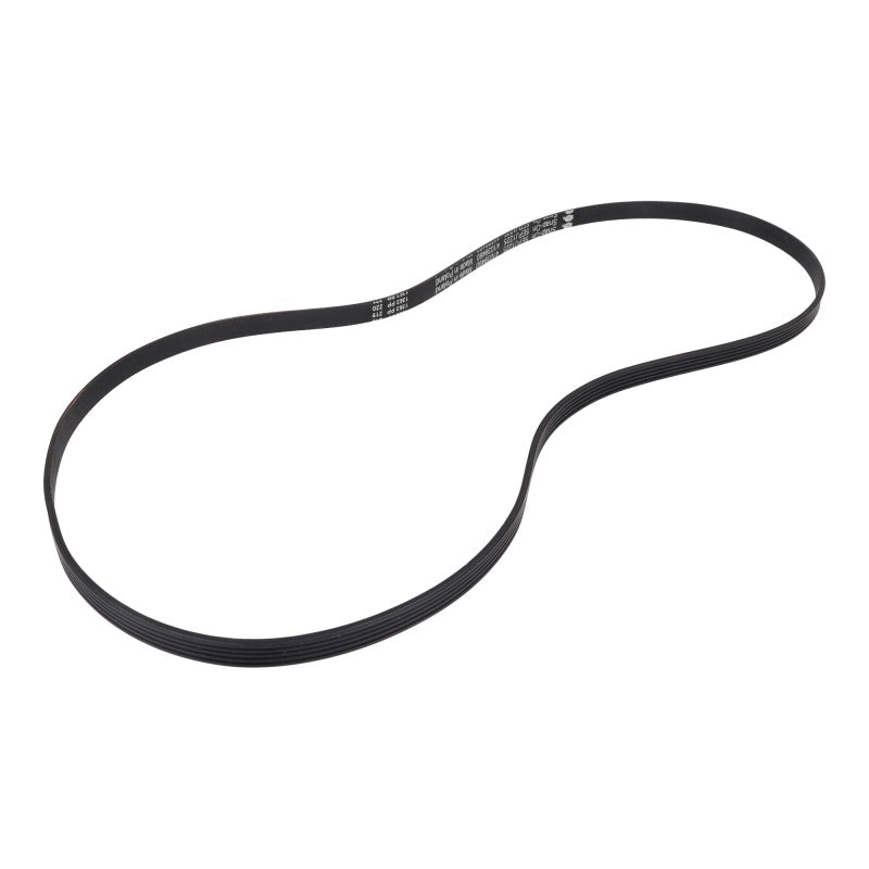 Hoover / Candy / Haier Poly-Vee Drive Belt 1225J5EPJ / 1225J5, 1225 Mm 41039460