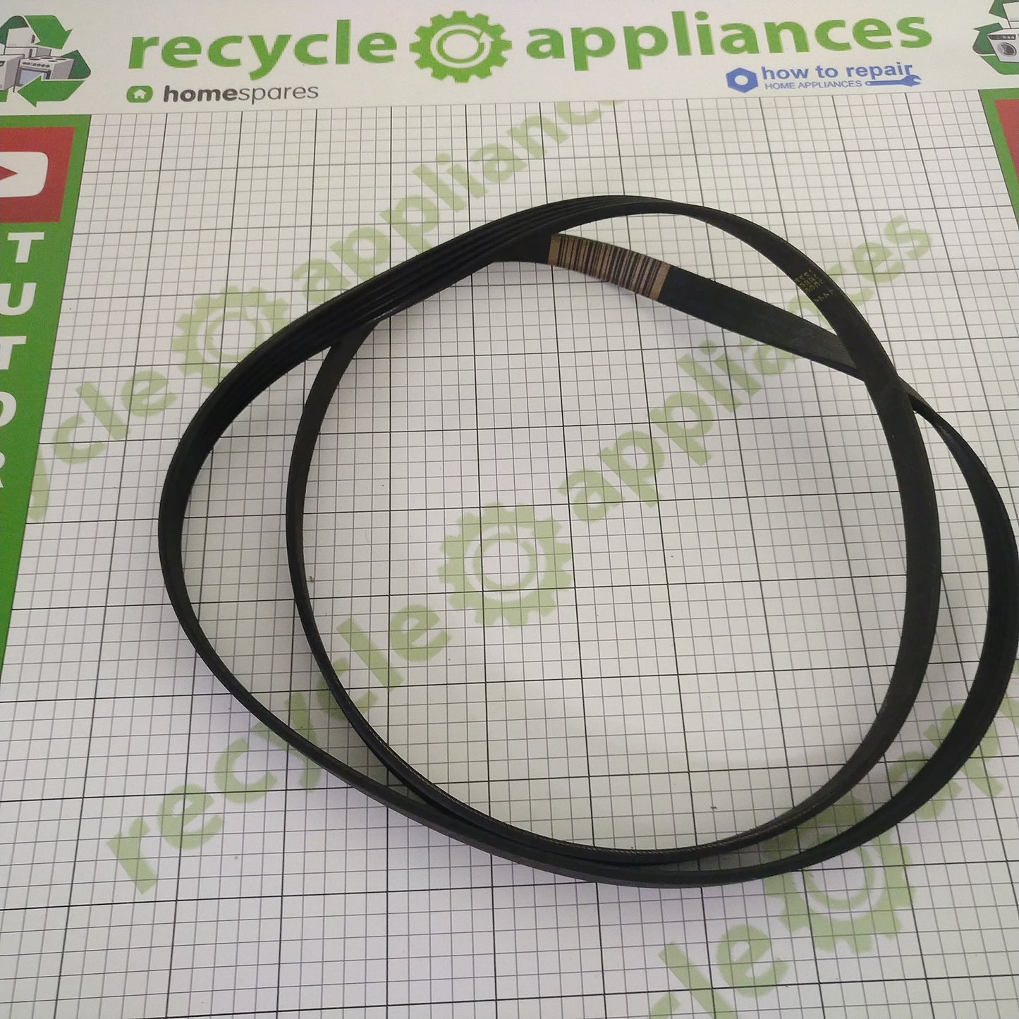 Washing Machine Drive Belt 1200 5pje 132353100