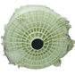 R846860 - Photo 1