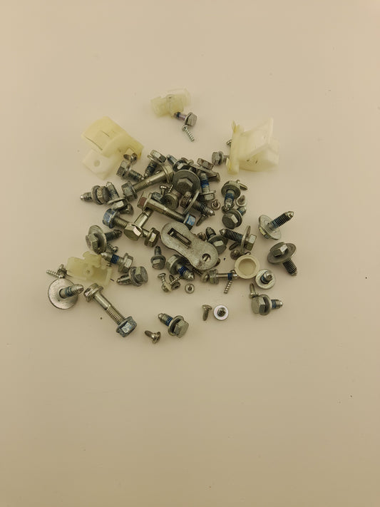 Bag Of Assorted Screws From A Miele Washing machine These Came Off W5740