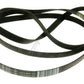 Gorenje Poly-Vee Drive Belt 1942H8 / 1942H8PHE Also Fits Smeg & HISENSE DHGE902 Etc.