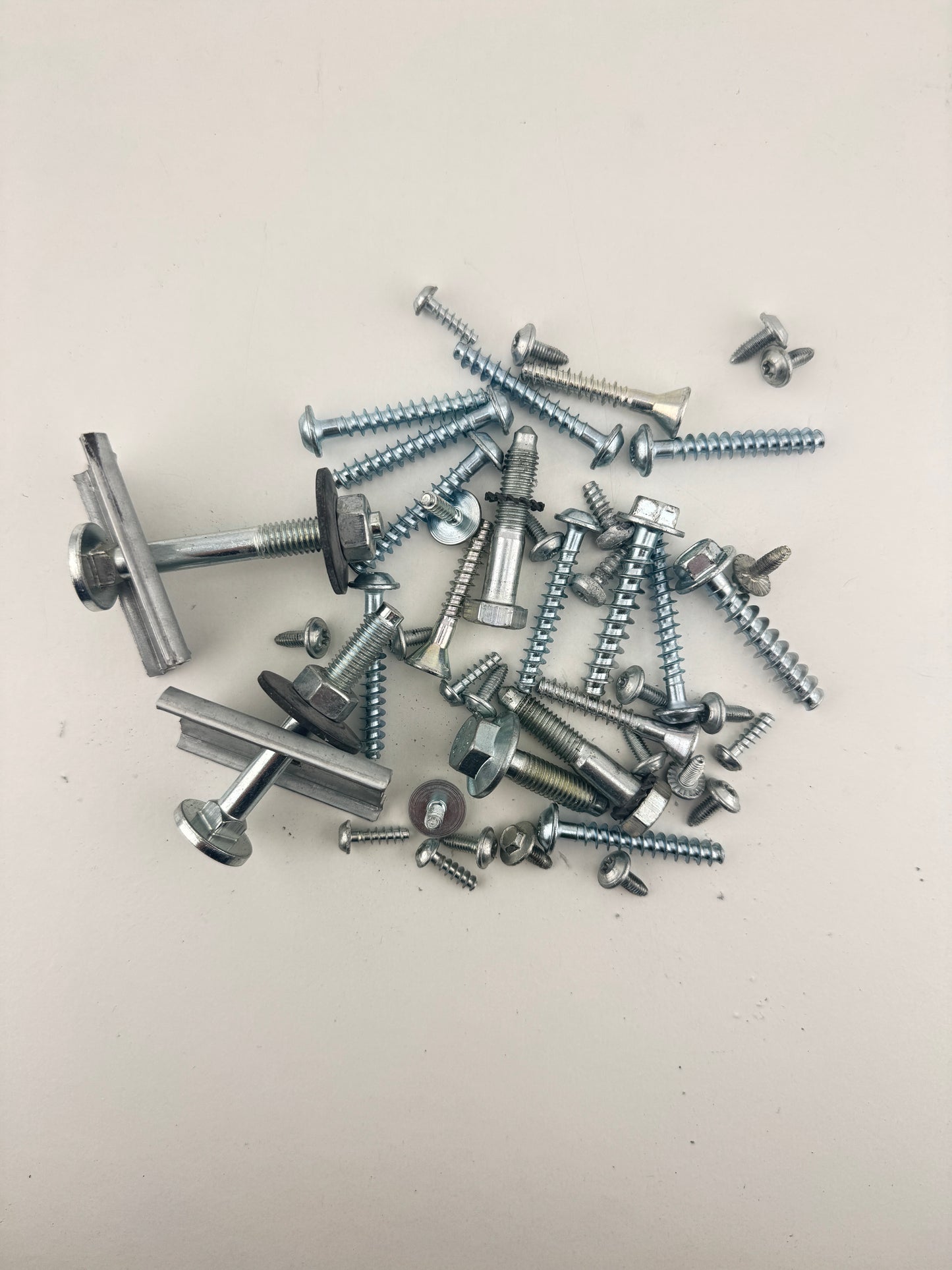 Bag Of Assorted Screws From a Bosch WAN28050GB/05