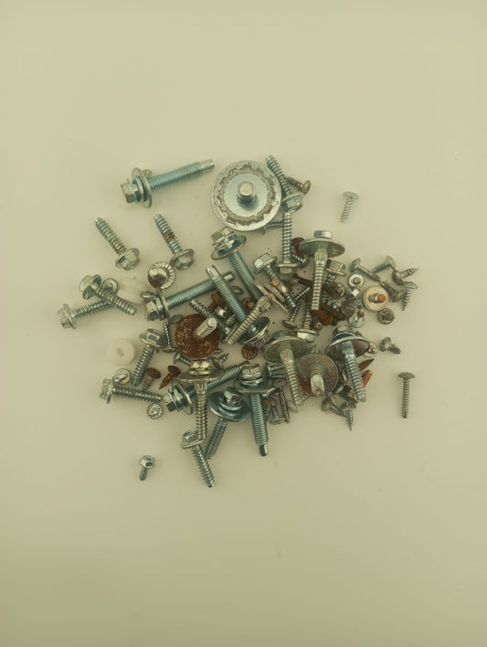 Bag Of Assorted Screws From a LG F14U1QDN0