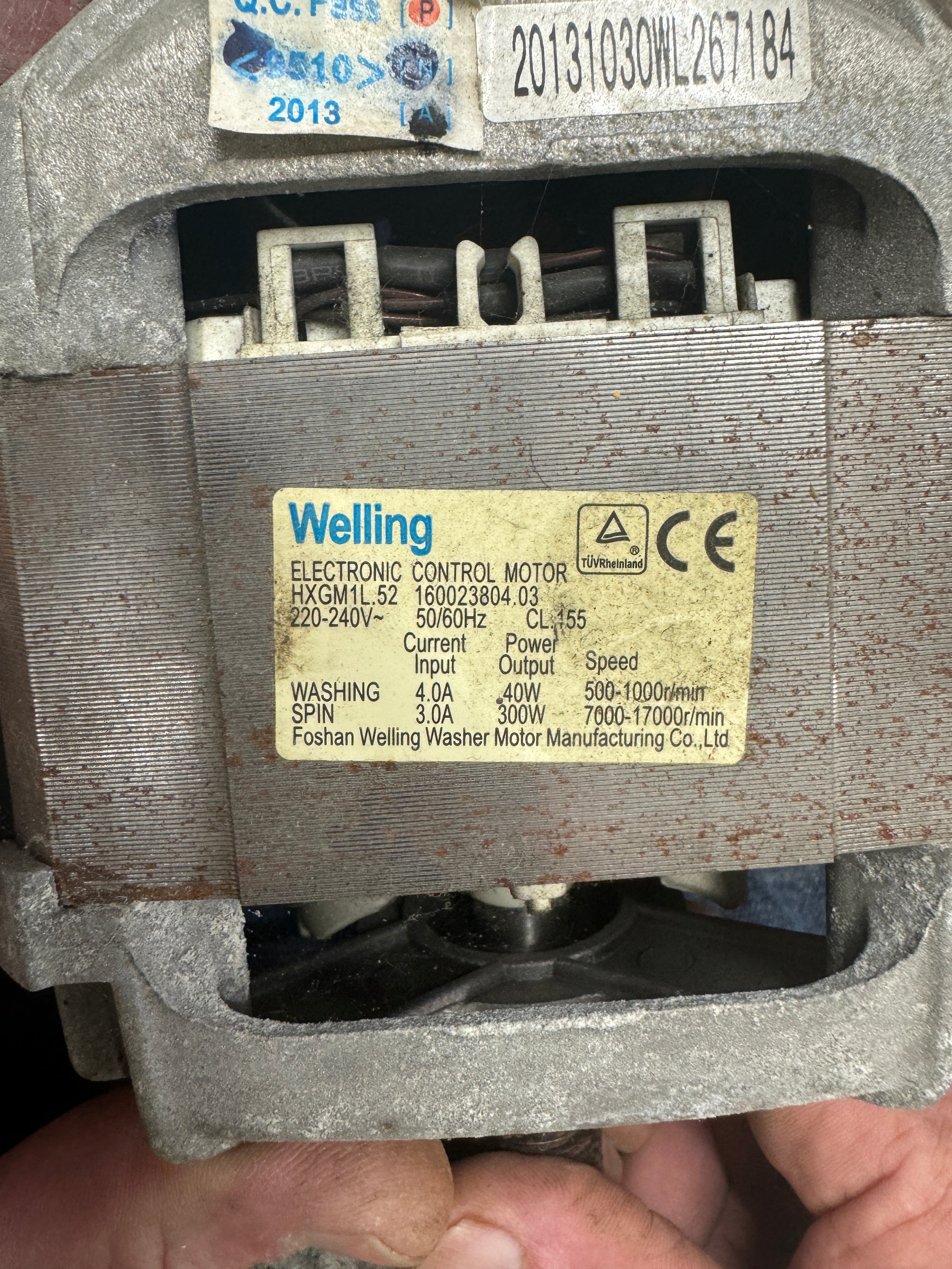 Washing Machine Motor : Welling hxgm1l.52 C00507304