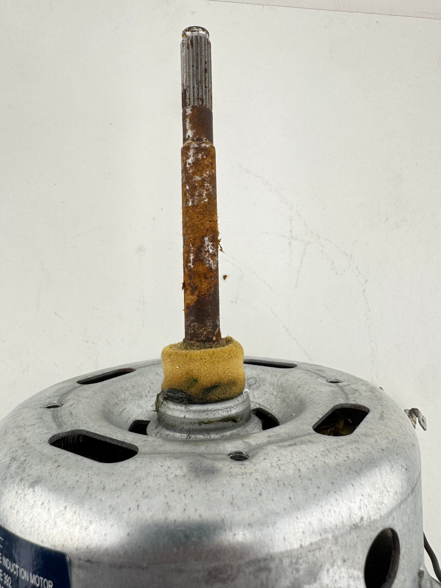 Tumble Dryer Motor C00306348 1 Fan Blade