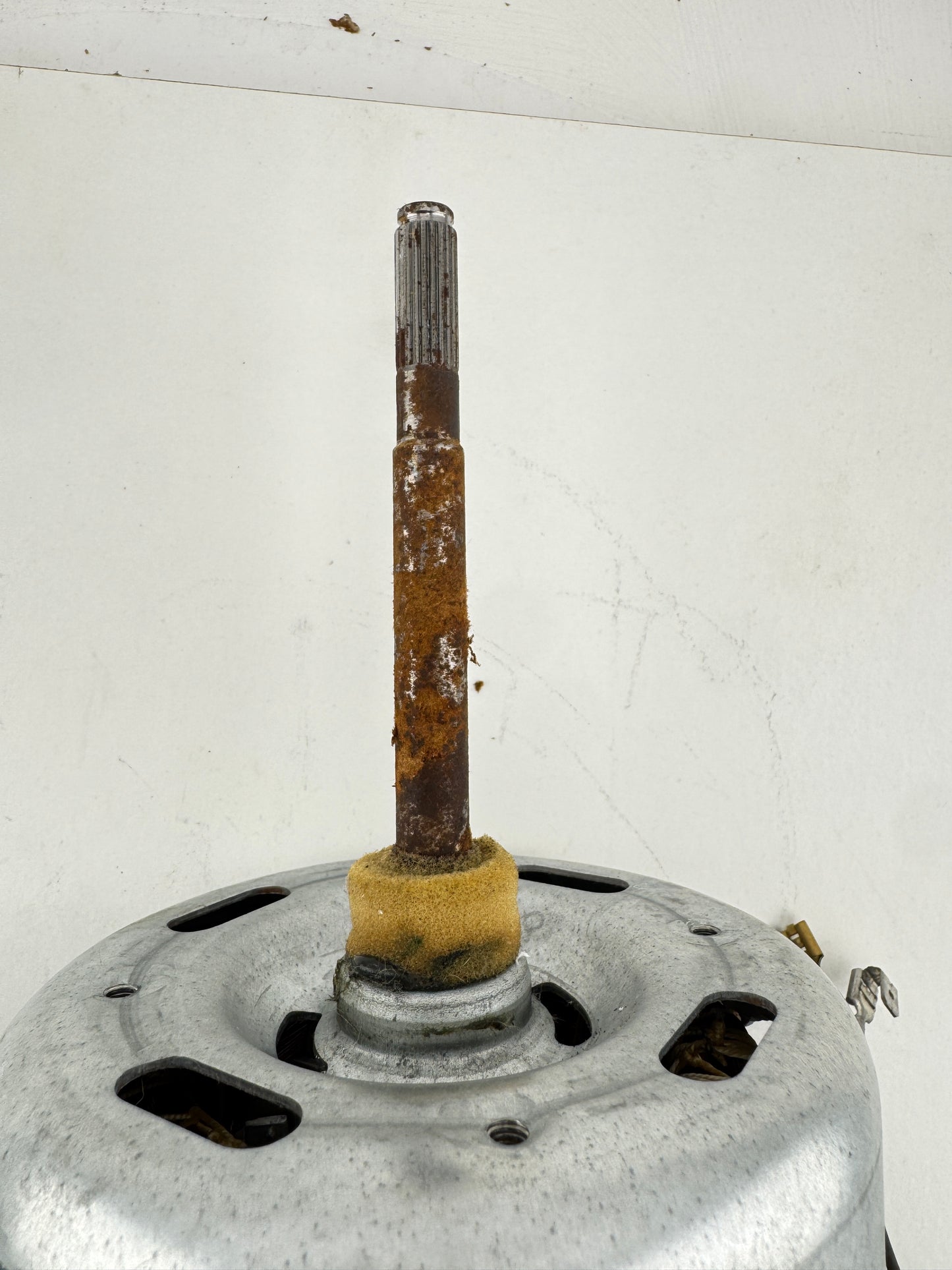 Tumble Dryer Motor C00306348 1 Fan Blade