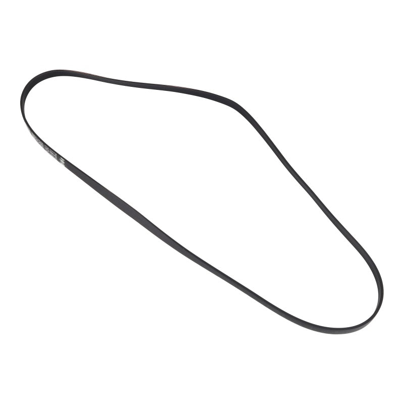 Hoover / Candy / Haier Poly-Vee Drive Belt 1225J5EPJ / 1225J5, 1225 Mm 41039460