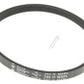 Whirlpool Poly-Vee Drive Belt - 244H4