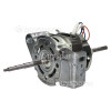Hoover Main Motor