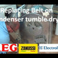 Fan Motor (FRONT) Tumble Dryer 1254349010