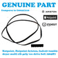 Hotpoint Indesit 1965H7 Tumble Dryer Belt